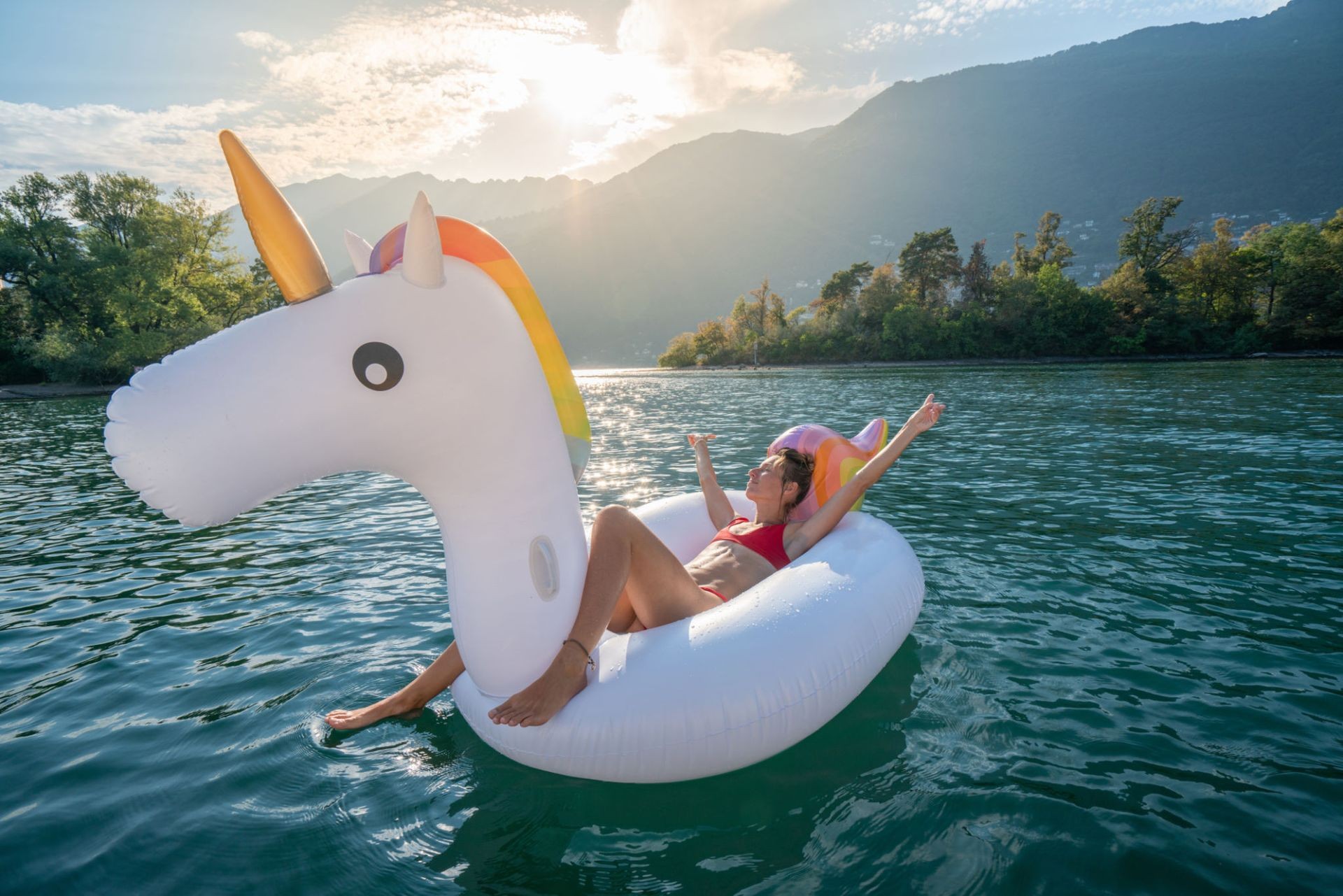 La Licorne Géante 🦄